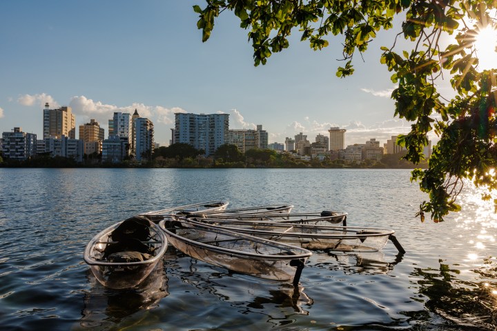 Transparent canoes on a lake with a city skyline and leafy tree branch in the foreground.