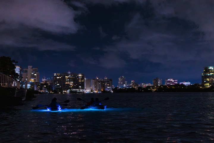 Two kayaks with blue lights in water at night, city skyline in background.