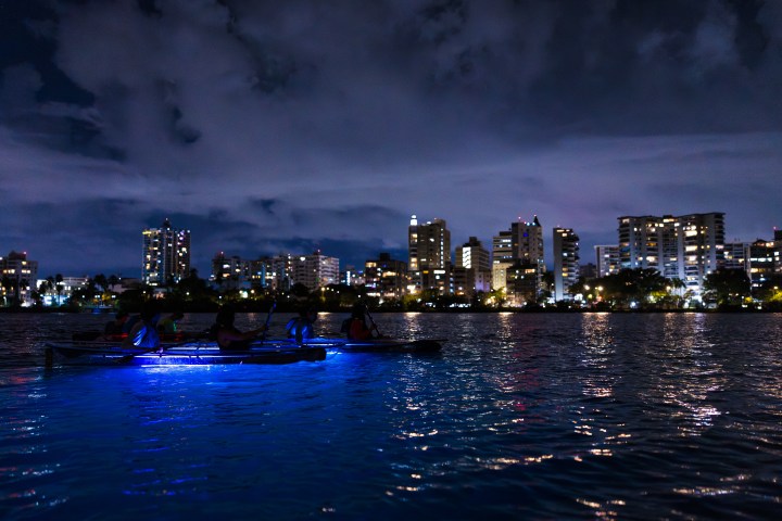 Nighttime city skyline with kayakers on water lit by blue lights.